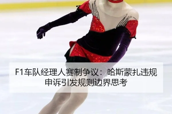 che-dui-jing-li-ren-sai-zhi-zheng-yi-ha-si-meng-zha-wei-gui-shen-su-yin-fa-gui-ze-bian-jie-si-kao-2-213.jpg